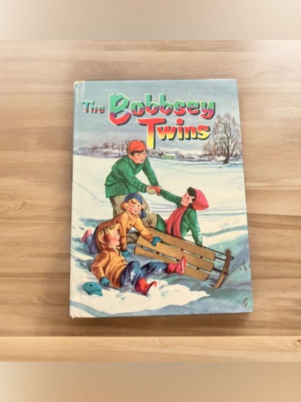 Vintage The Bobbsey Twins Merry Days Inside and Out Hardcover Book 1950